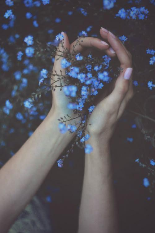Enchanted Garden: Whimsical Petal Dance Eternally